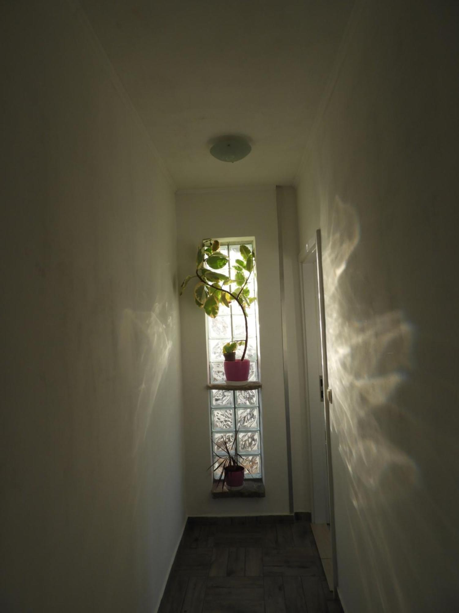 Apartman Pobuk Primosten Exterior photo